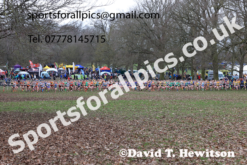Girls Under-15s 2026 UK CAU Inter Counties Cross Country, Wollaton Park, Nottingham. Photo: David T. Hewitson/Sports for All Pics